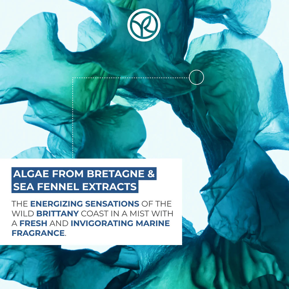 Wild Algae Body Care Set of 4