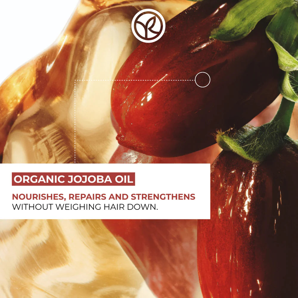 The Hair Restoring Trio