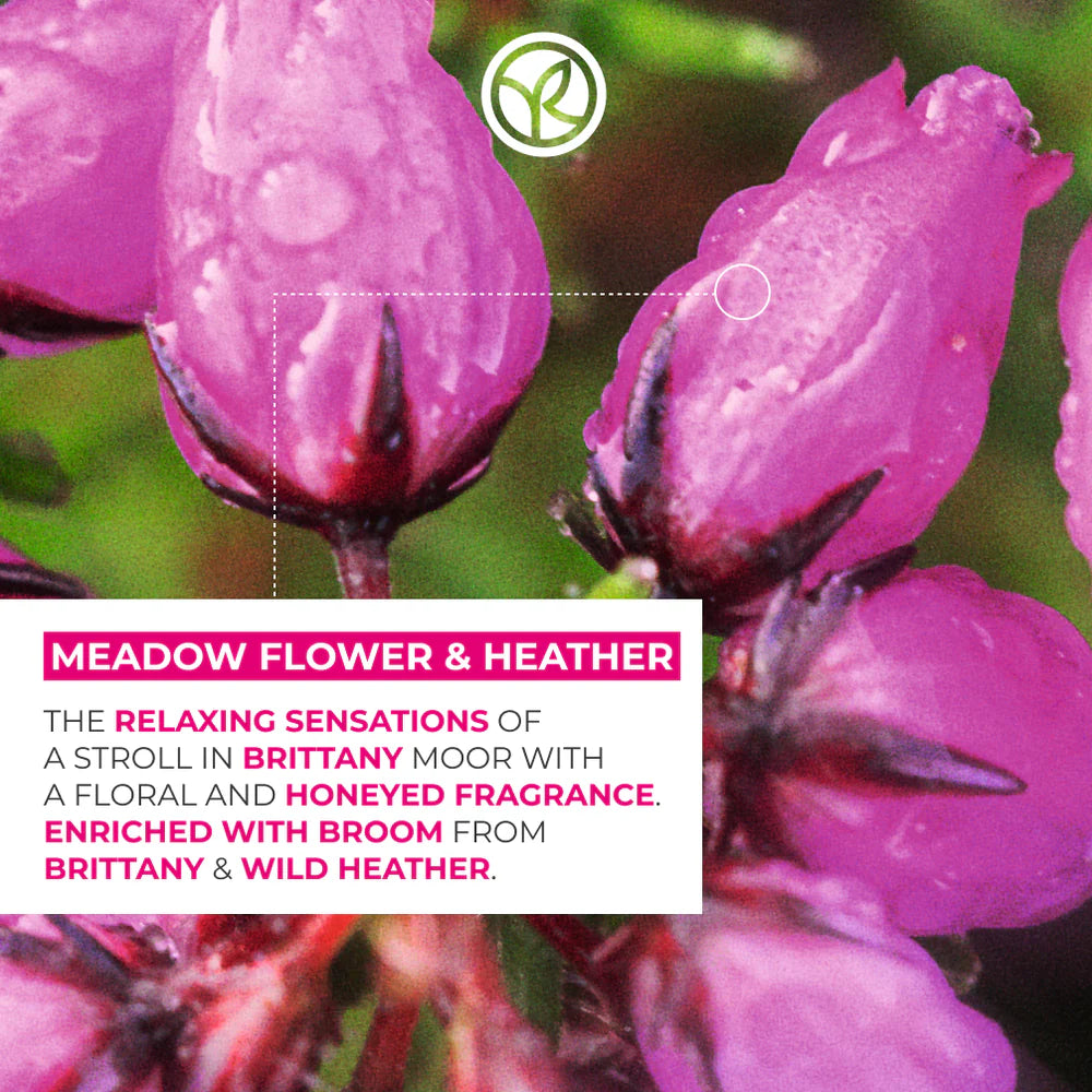 Meadow Flower Heather Body Care Set of 4