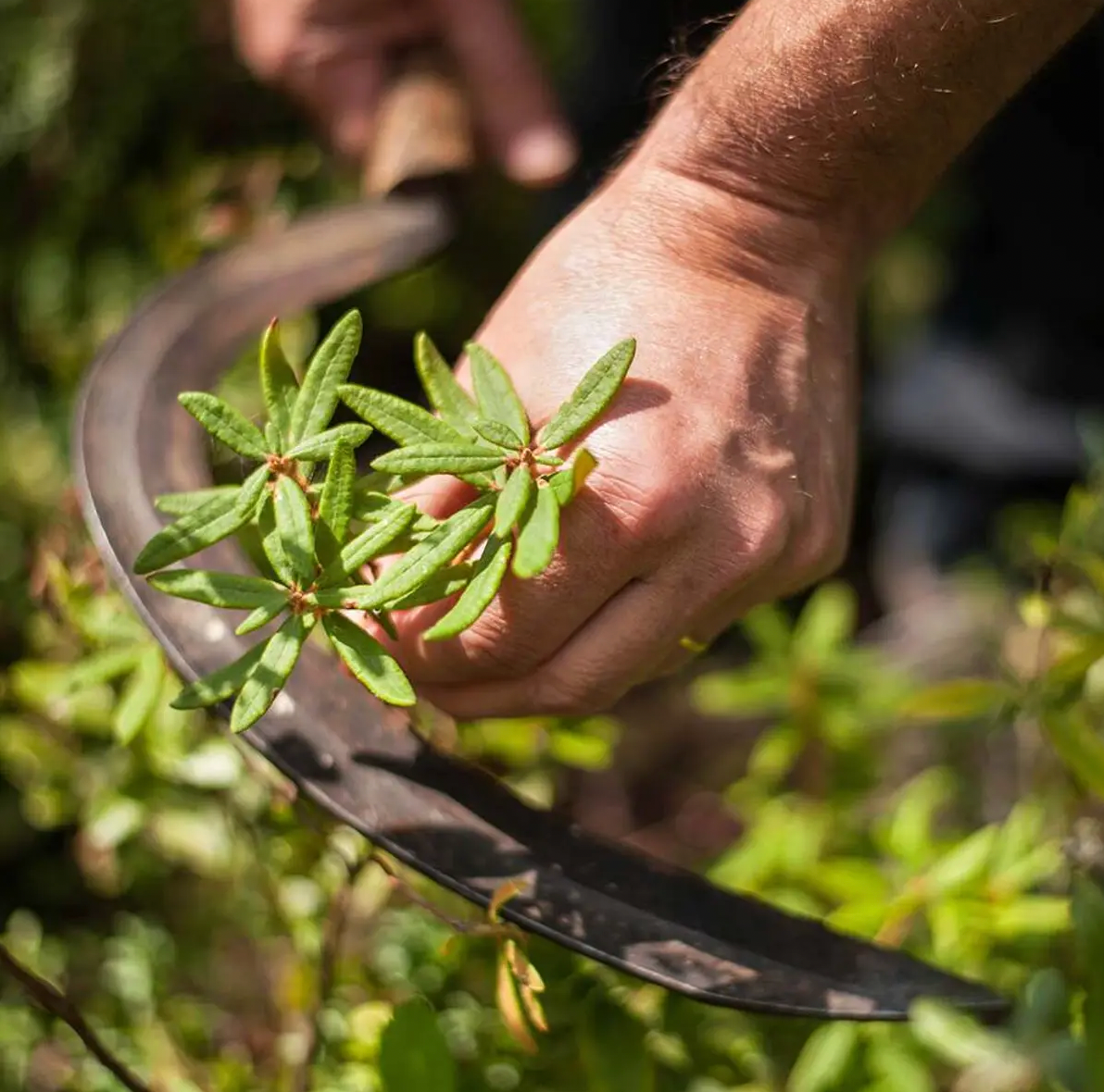 Zero Blemish Moisturizing Gel Cream