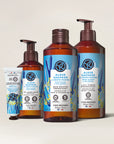 Wild Algae Body Care Set of 4
